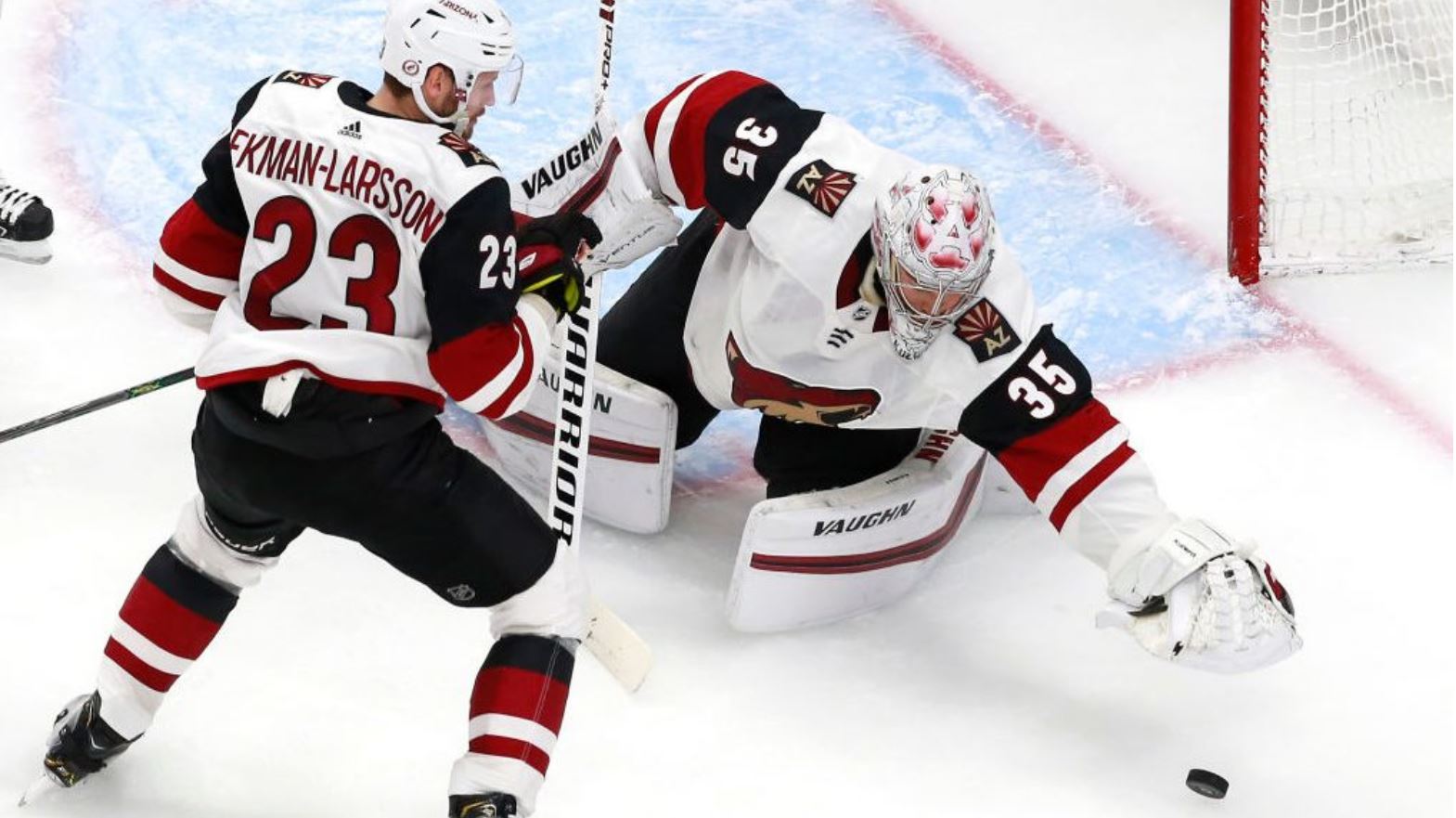 Tempe holds special meeting over proposed Arizona Coyotes hockey
